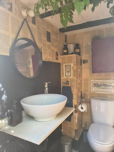 a bathroom with a bowl sink and a toilet at Eco- Refugio Centenario in Sagunto