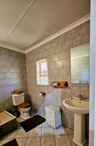a bathroom with a toilet and a sink at Afrika Lodge in Kempton Park