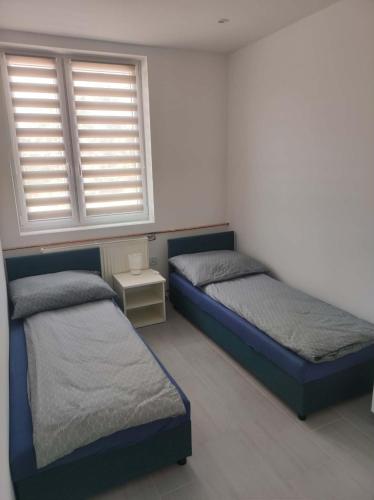 a bedroom with two beds and a window at Agroturystyka Gorajec Zagroble in Wólka Czarnystok