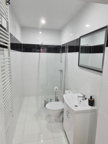 a white bathroom with a toilet and a sink at Agroturystyka Gorajec Zagroble in Wólka Czarnystok