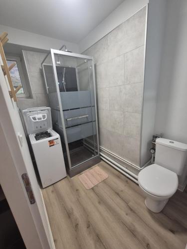 a small bathroom with a toilet and a shower at Appartement cocooning Sierck-les-Bains in Sierck-les-Bains