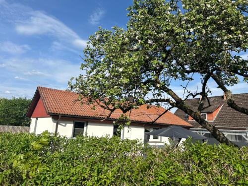 a white house with a red roof and a tree at Ferienhaus Westend in Munster