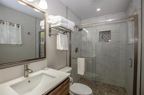 a bathroom with a sink toilet and a shower at Holland By Hauserman Rentals in Homewood