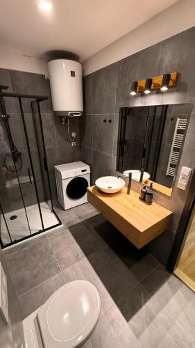 a bathroom with a sink and a toilet and a microwave at Apartmány Pod Stráží in Sušice