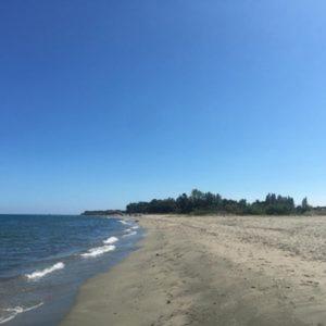 a sandy beach with water and trees in the background at Casa Théodore in San-Nicolao