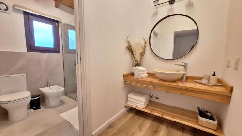 a bathroom with a sink and a toilet and a mirror at Jardín de Estepa in Dina Huapi