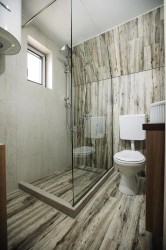 a bathroom with a shower and a toilet at Ujcevina Apartments in Donje Morakovo