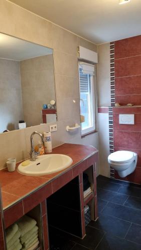 a bathroom with a sink and a toilet and a mirror at Ferienwohnung Hebestreit in Kirchworbis
