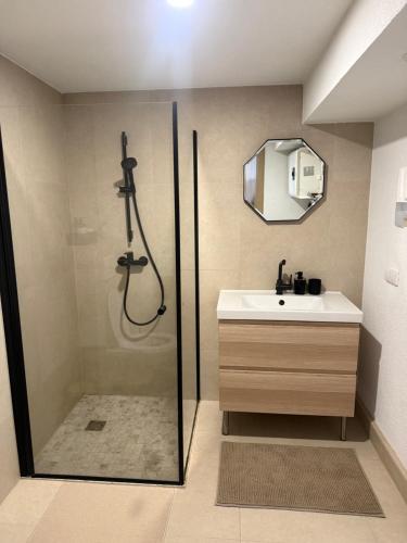 a bathroom with a shower and a sink at Loftas Smilga in Palanga
