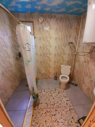 a bathroom with a shower and a toilet in it at Green House in Kobuleti