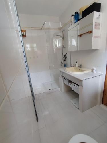 a bathroom with a shower and a sink and a toilet at Reka Casa in Mojácar
