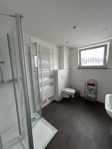 a bathroom with a shower and a toilet and a window at Monteur-Ferienwohnung Julianna in Bad Staffelstein in Bad Staffelstein