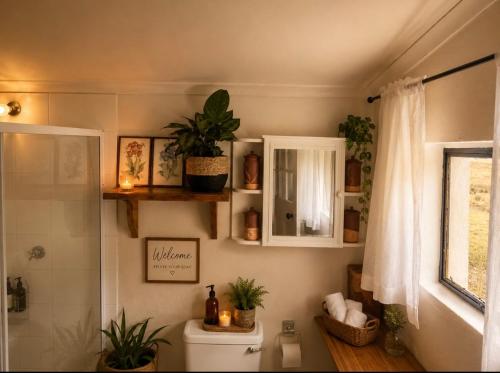 a bathroom with a toilet and plants on the wall at The Thatched Hideaway on Stanmore farm in Nottingham Road