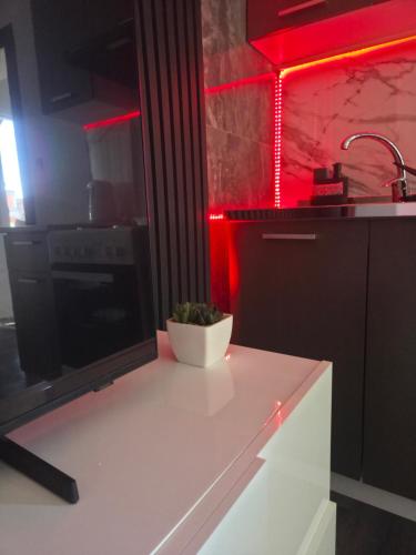 a kitchen with a counter with a bowl on it at Kuća za odmor Štiba in Vinkovci