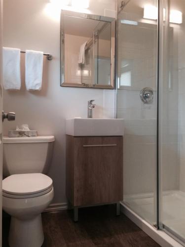 ein Bad mit einem WC, einem Waschbecken und einer Dusche in der Unterkunft Timberland Inn in Kenora