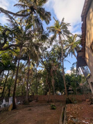 a group of palm trees in front of a building at Hindlekar home stay in Malvan