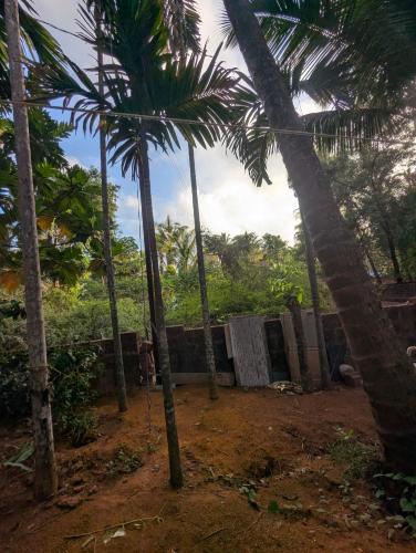 a group of palm trees in front of a building at Hindlekar home stay in Malvan