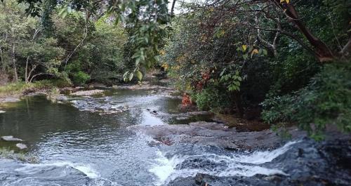 a river with rapids in the middle of a forest at Finca LA HERMOSA in Guzmán
