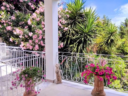 Daria sea view house