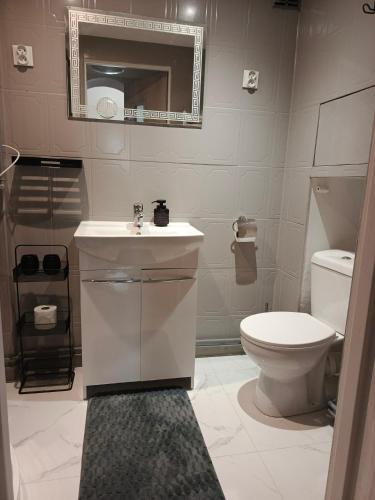 a bathroom with a toilet and a sink and a mirror at Apartament Międzylesie in Międzylesie