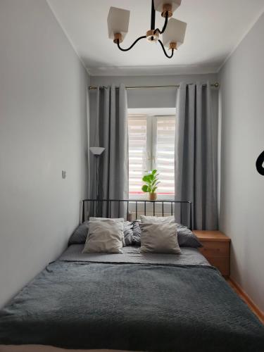 a bedroom with a bed with gray sheets and a window at Apartament Międzylesie in Międzylesie