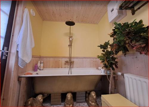 a bath tub in a bathroom with a plant at Zeltarasa in Avotkalni