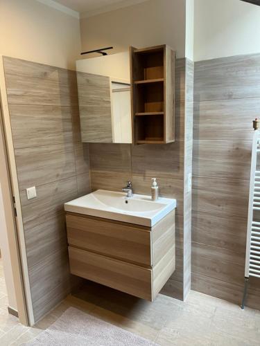 a bathroom with a sink and a wooden wall at Apartment P&T Top 5 in Altenhof