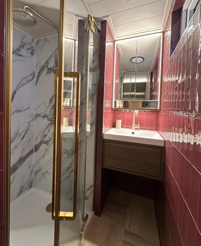 a bathroom with a shower and a sink and a mirror at De Waterlodge - Uniek verblijf aan het water in Franeker