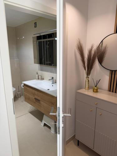a bathroom with a sink and a mirror at Ana Deluxe Apartment in Radovljica