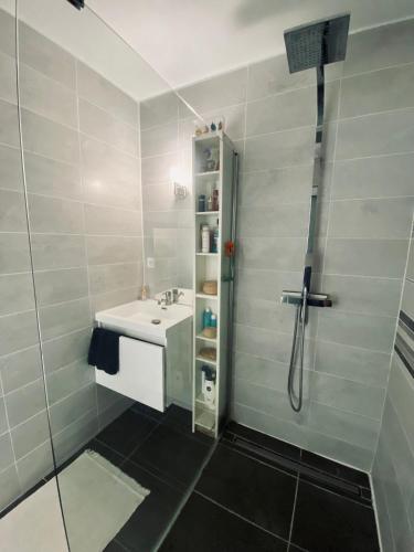 a bathroom with a sink and a shower at Sabrina in Tarbes