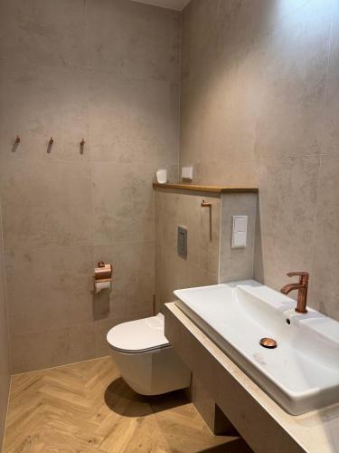 a bathroom with a white toilet and a sink at ZenTen Apartment in Elva