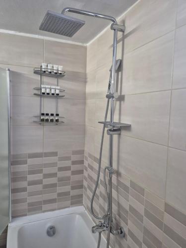 a bathroom with a bath tub with a shower at Salve Suite in Lefkada