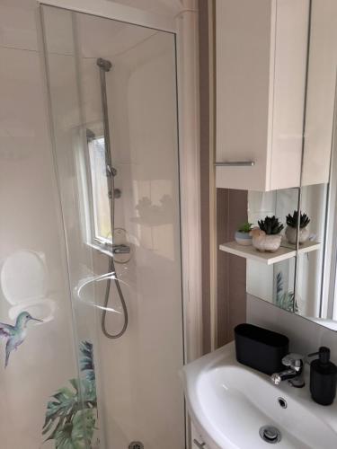 a bathroom with a shower and a sink at 10 the green lilliardsedge carvan park harritsfield jedbrugh td8 6tz in Harrietsfield