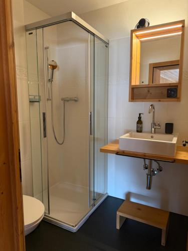 a bathroom with a glass shower and a sink at Pensiunina - Pension - Sent in Sent