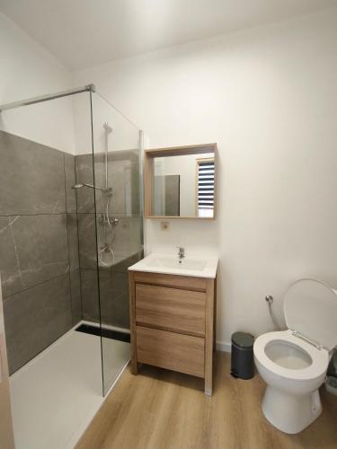 a bathroom with a toilet and a shower and a sink at Sisters home in Marcinelle