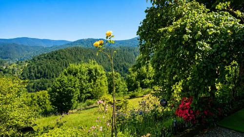 a view of a field with flowers and trees at Ferienwohnung Panoramablick Bermersbach in Forbach