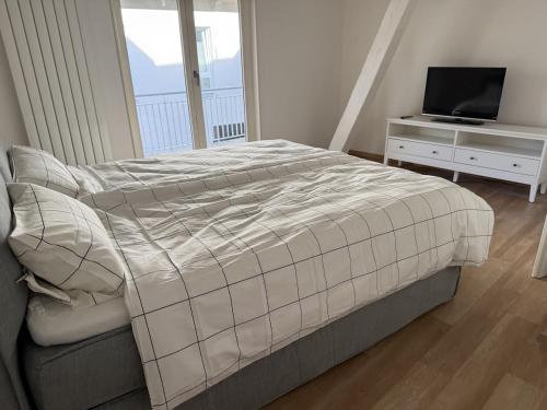 a bedroom with a bed and a tv and a window at Boardinghouse Rheinfelden 4 in Rheinfelden
