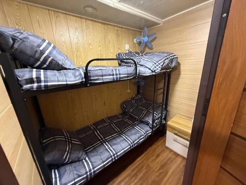 a couple of bunk beds in a room at Noor house hostel in Fergana