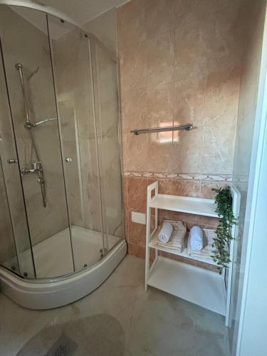 a bathroom with a shower and a tub and a sink at Apartment Oak Root in Mostar