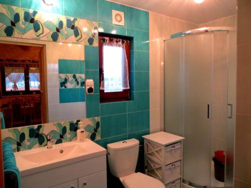a bathroom with a toilet and a sink and a shower at TLdomki in Radęcin