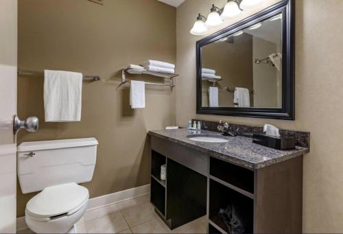 a bathroom with a toilet and a sink and a mirror at Quality Inn & Suites Escanaba North in Escanaba