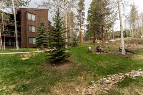 a pine tree in a yard next to a building at Wild Irishman #1030 in Keystone