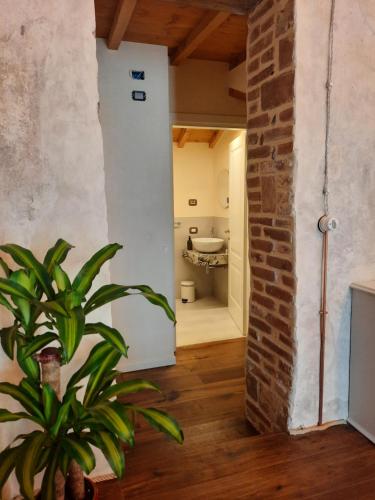a room with a plant and a brick wall at Casa Tonello B&B in Zugliano