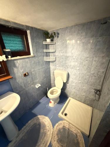 a small bathroom with a toilet and a sink at Villa Adi in Ducaj