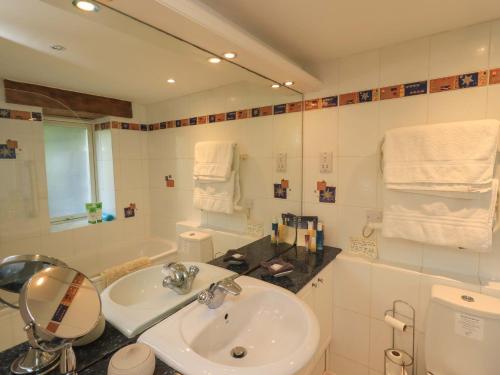 a bathroom with a sink and a toilet and a mirror at Pheasant Cottage in Grange Over Sands