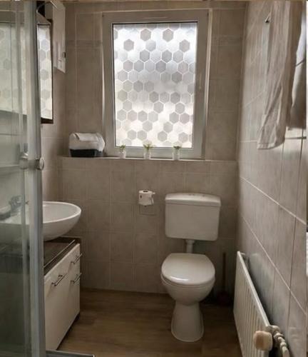 a bathroom with a toilet and a sink and a window at DADI Apartment in Linz am Rhein