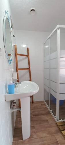 a bathroom with a sink and a glass shower at Quinta do Ti Vasco in Pedrógão Grande