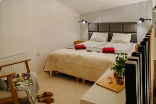 a bedroom with a large bed with red pillows at Nomad Cabin Roztocze in Tereszpol Zaorenda