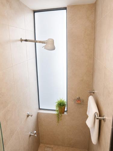 a bathroom with a shower with a window and a plant at Ongata Rongai Pool Studio Near Nairobi National Park and giraffe center in Ongata Rongai 