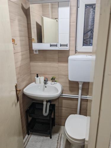 a small bathroom with a sink and a toilet at Apartman Darija in Vrnjci